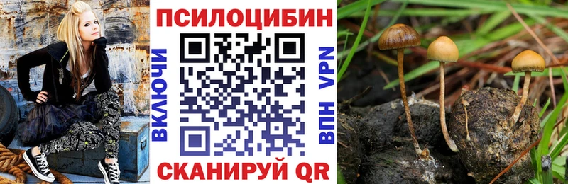 Псилоцибиновые грибы мухоморы Красавино